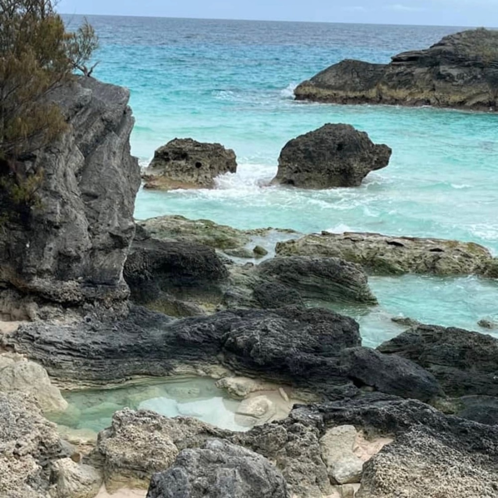 Meet your Posher, Diane